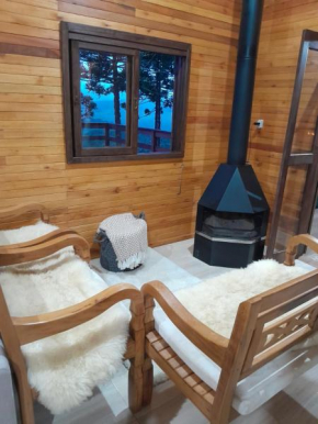 casa dos sonhos